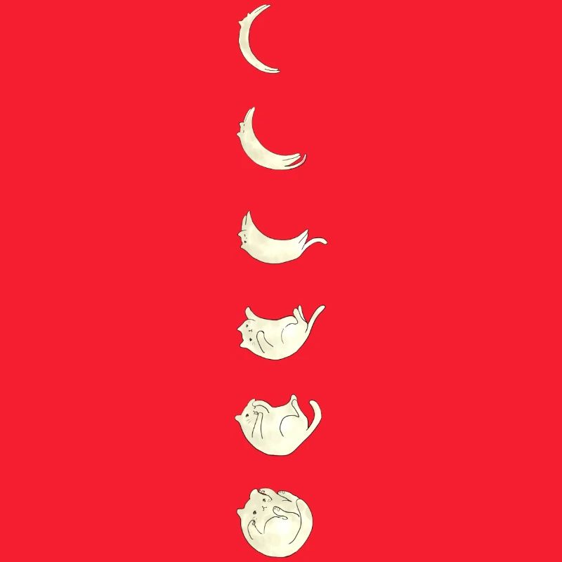 Chat de la lune