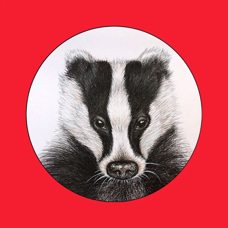 Dachs /Badger