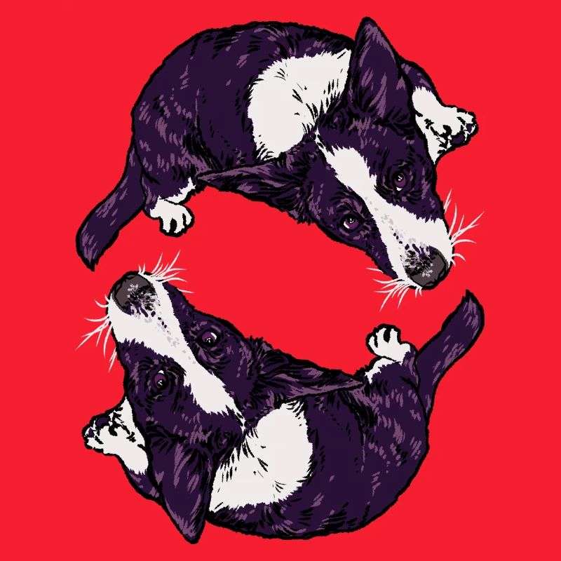Corgis