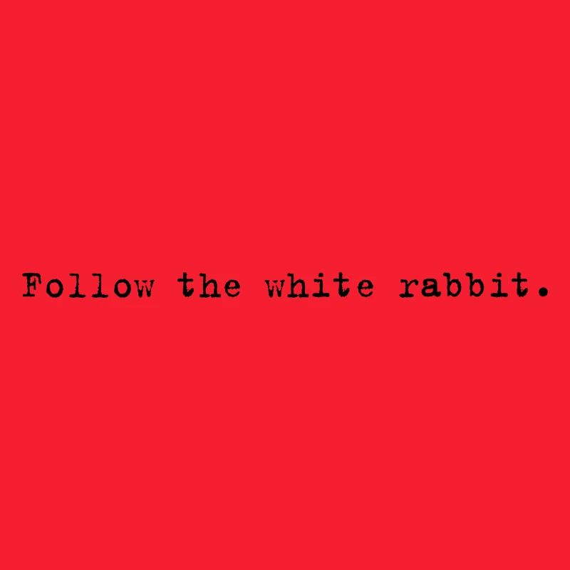 Follow the white rabbit Programming Informatik