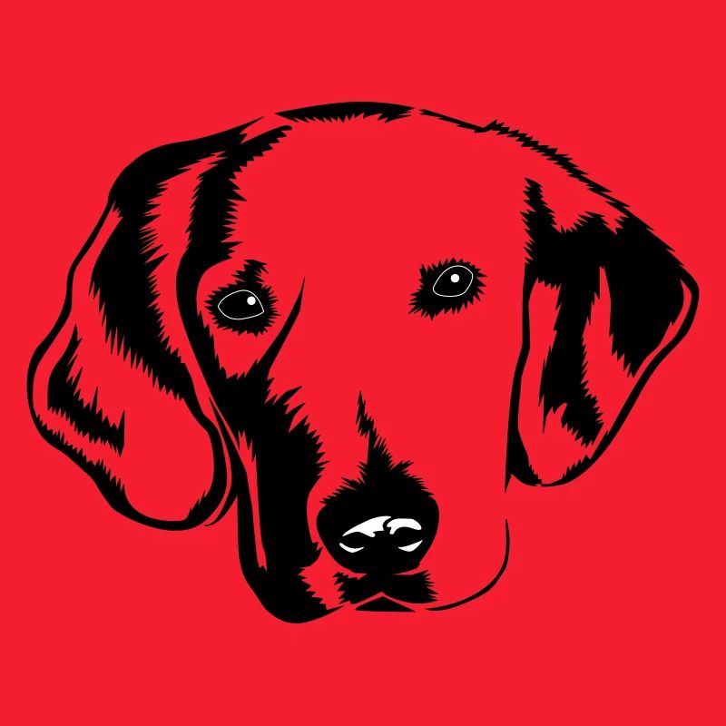 Hund