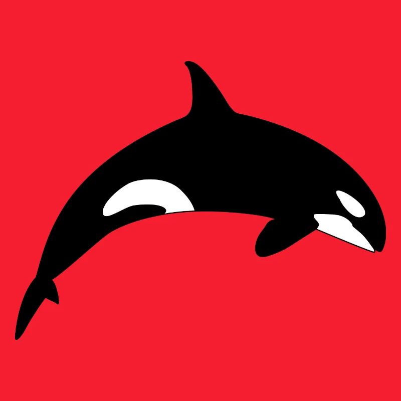 Schwertwal Orca Killerwal