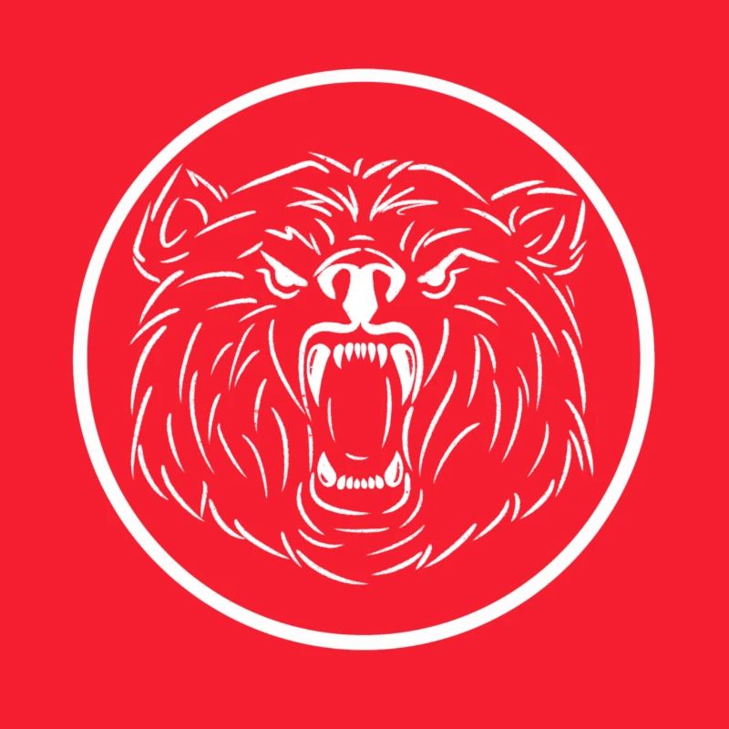 Bär Logo