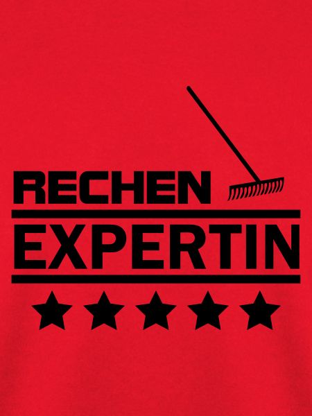 rechen expertin