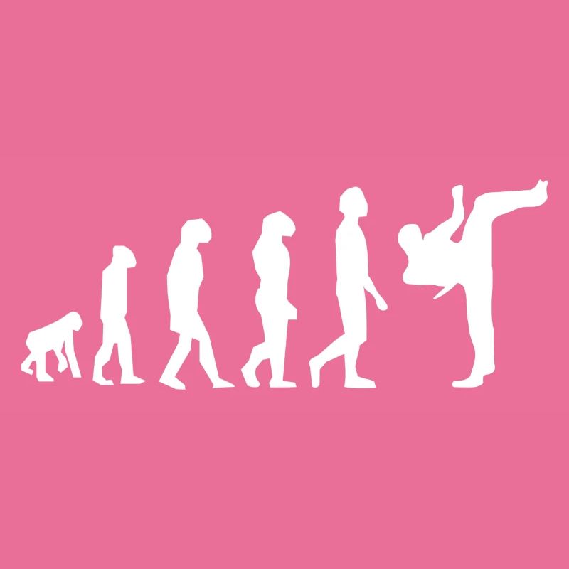 Art martiaux évolution