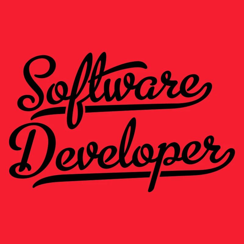 Software Developer