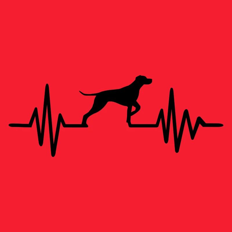 German Shorthaired Pointer
