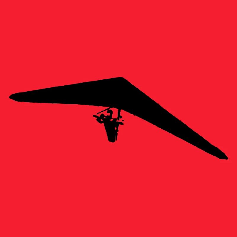 Hang glider
