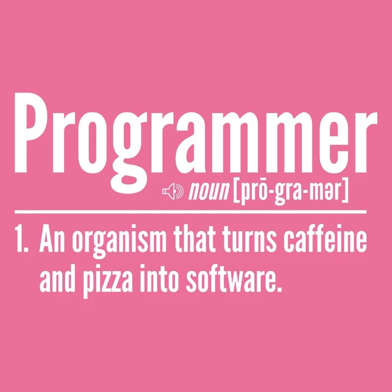 Programmeur