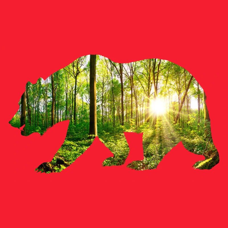 Bär umwelt