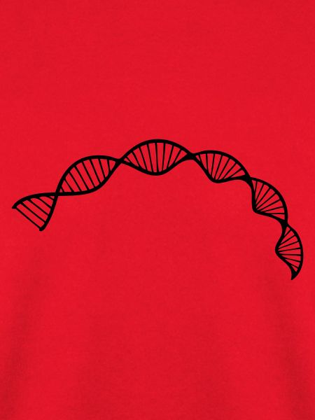 Zellsequenz der DNA-Doppelhelixstruktur