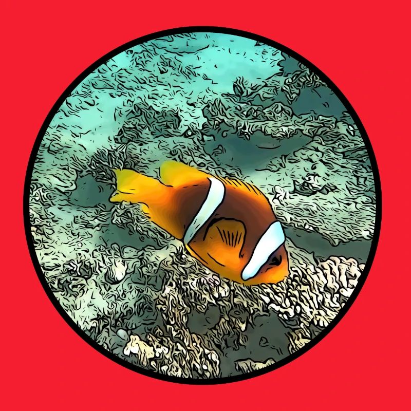 Clownfische
