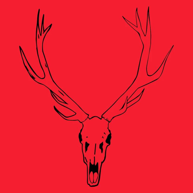 Deer skull