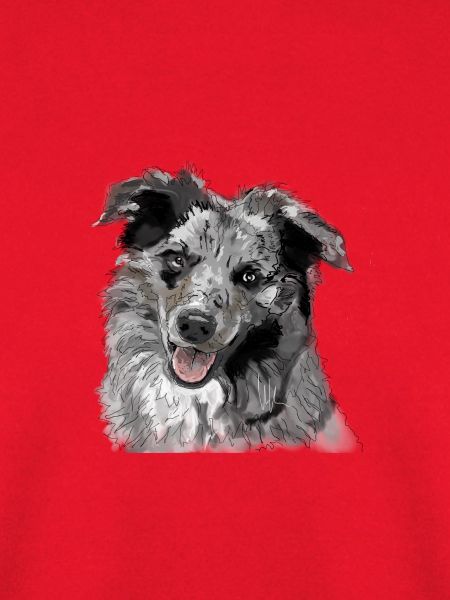 Australian Shepherd