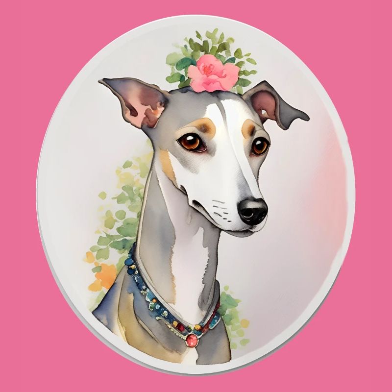 Whippet