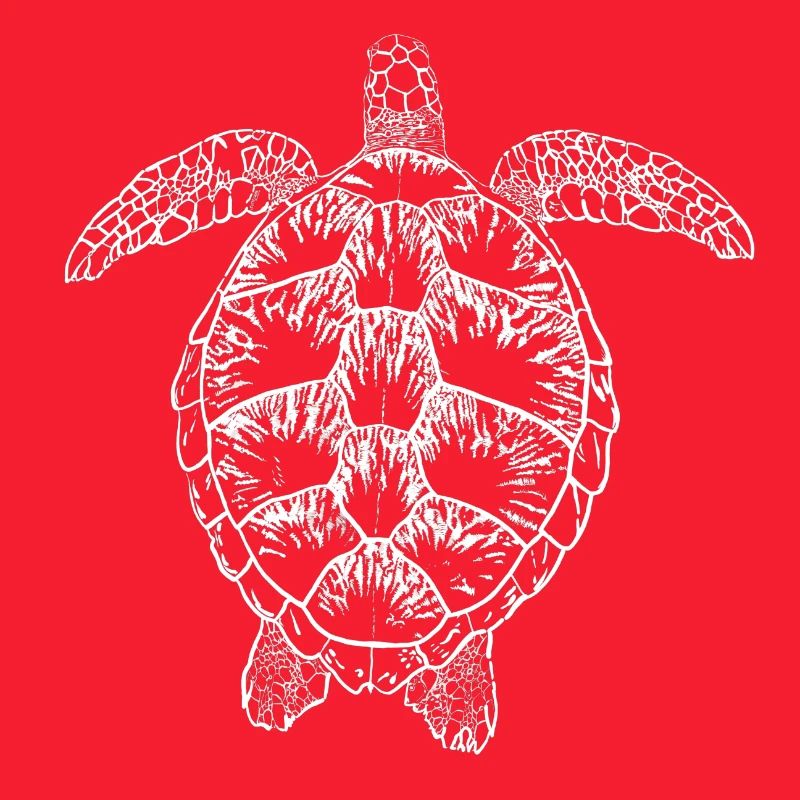 Turtle white2
