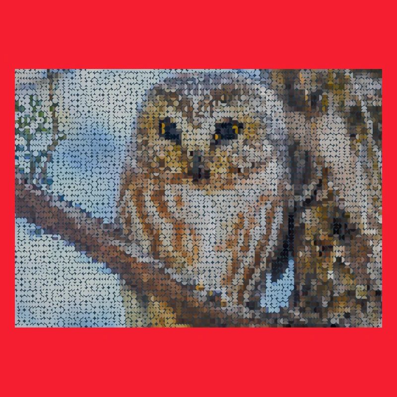 Nächtliche Eulen-Mosaik