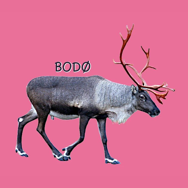 BODO