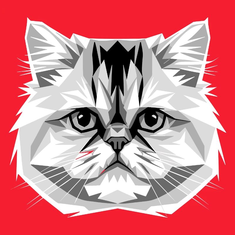 Chat perse Chat persan Chat persan Chat perse Chats mignons