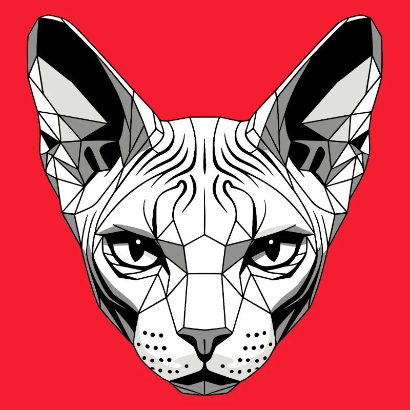 Sphynx Chat Sphynx Chat Chat Canadien Sphinx mignon