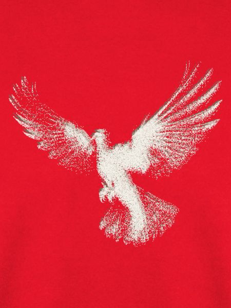 Taube | Heilig-Geist-Hemd | Christliches Symbol