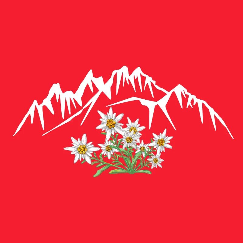Alpen Edelweiss devant le groupe de montagnes