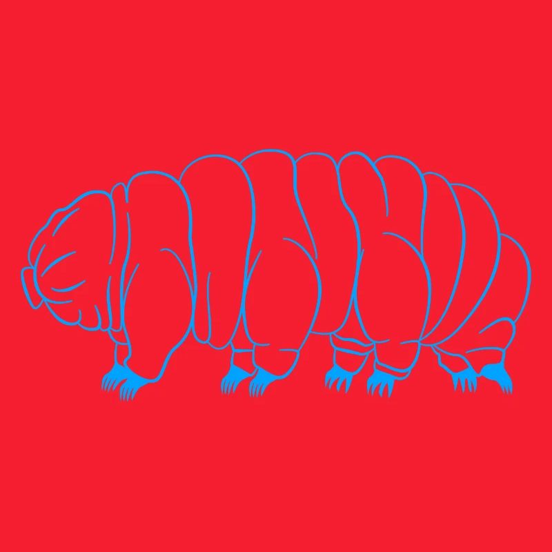 Bärtierchen Tardigrades Wasserbär Tardigrade