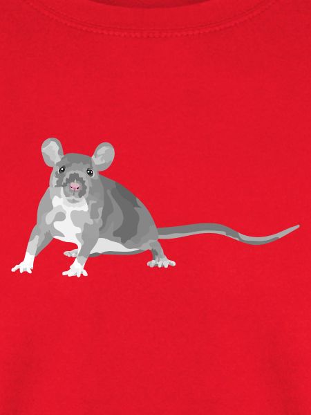 Graue Maus Illustration Ratte Nagetier