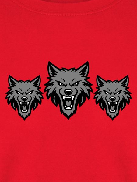 Meute d’équipe de loups