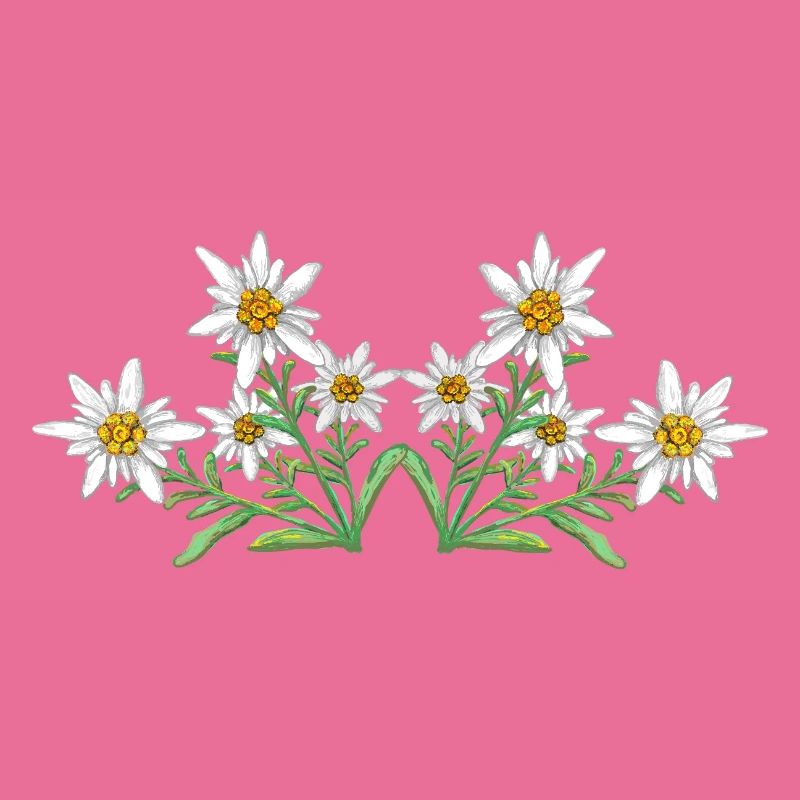 Edelweiss 