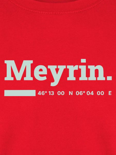 Meyrin Koordinaten