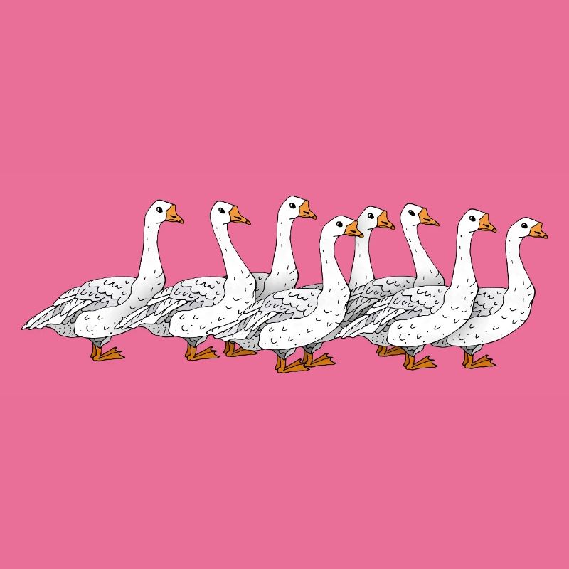 Gänse