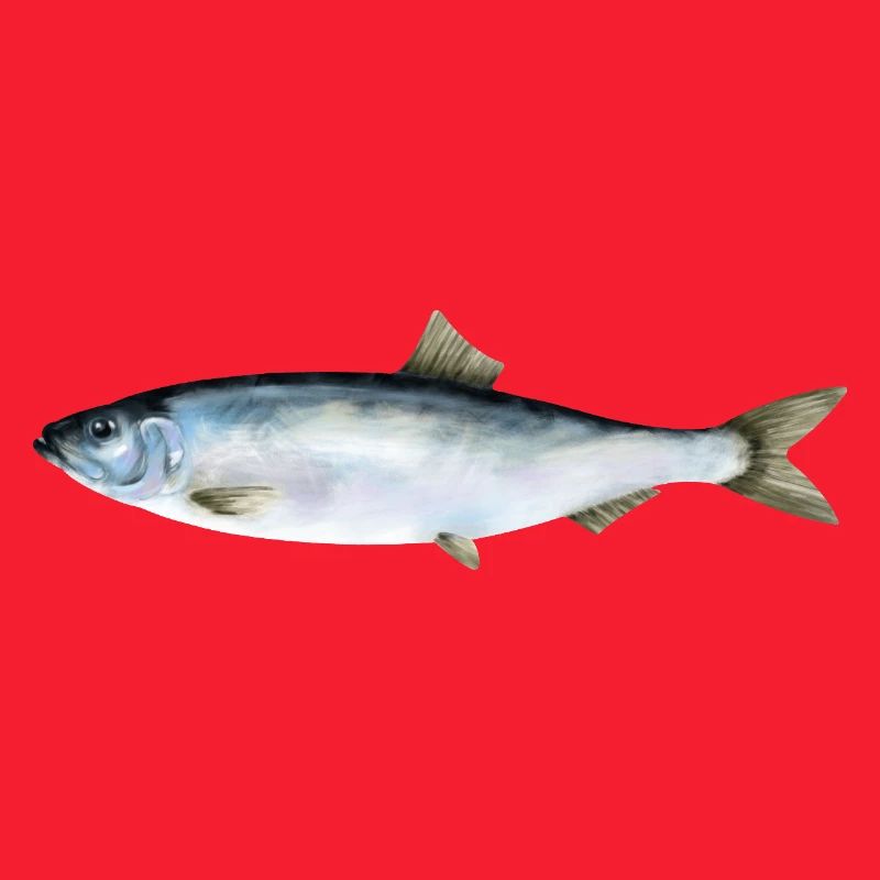 Hering