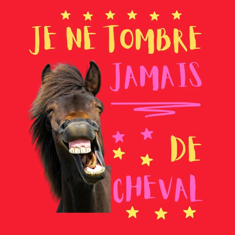 JE NE TOMBE JAMAIS DE CHEVAL