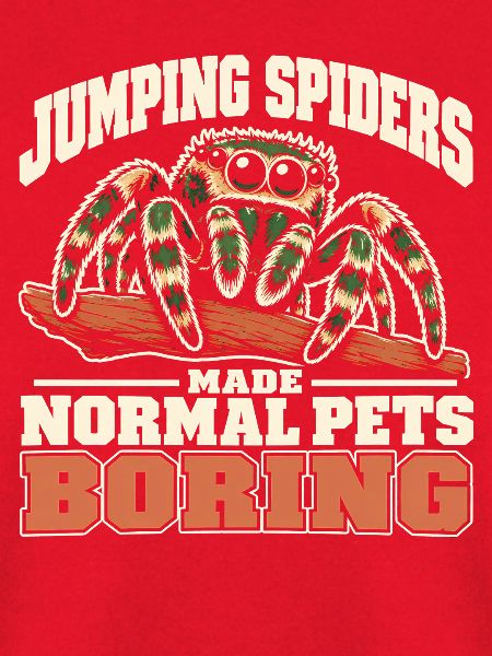 Springspinnenhalter Haustier Phidippus Besitzer