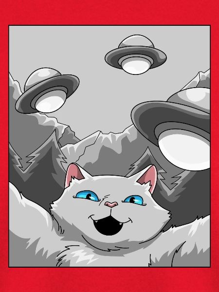 Katze UFO Selfie