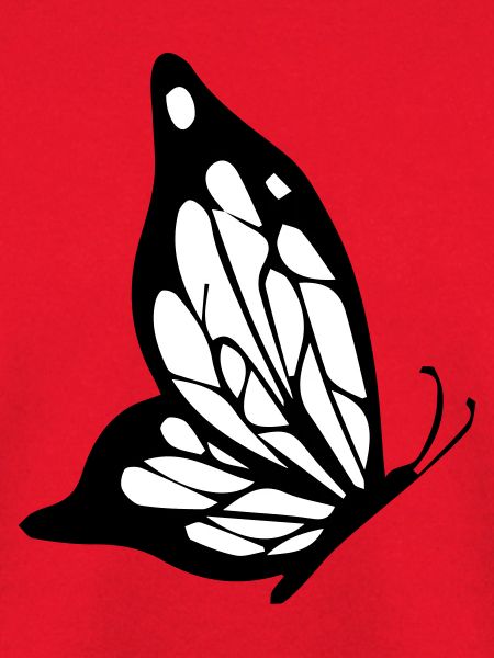 schmetterling