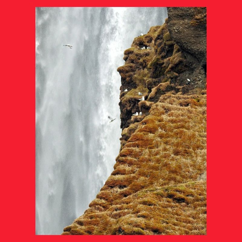 Mossy Cliff Wasserfall-Vista