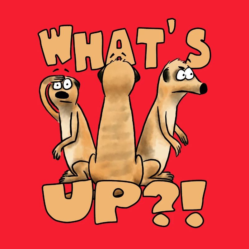What´s up?!