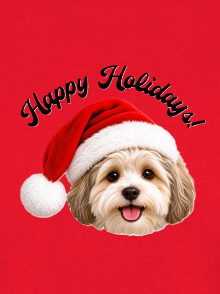 Hund mit Weihnachtsmannmütze