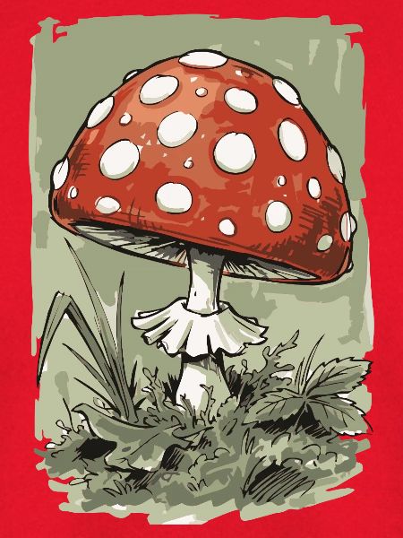 Cartoon Fliegenpilz