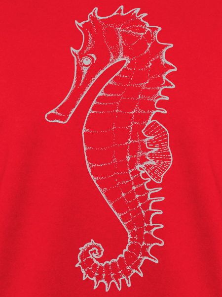 Seepferdchen Silhouette