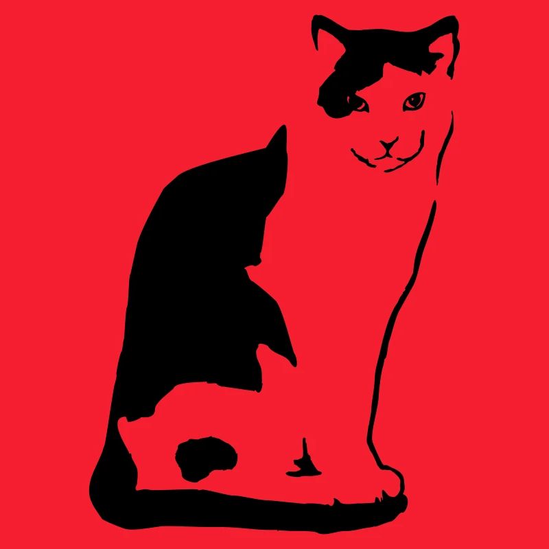 000262 Katze