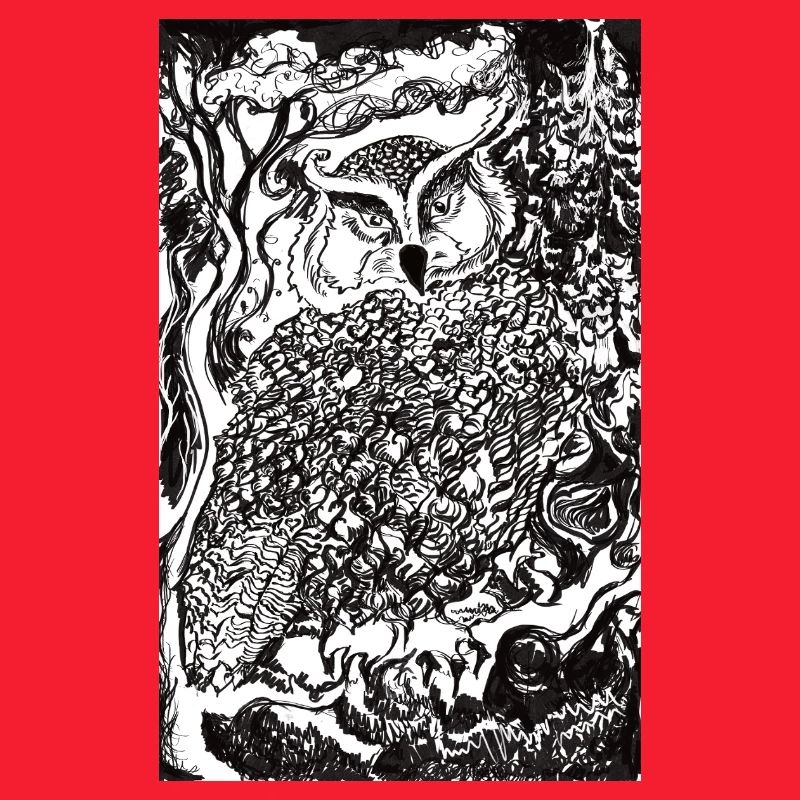 Nachtwald Eulenillustration