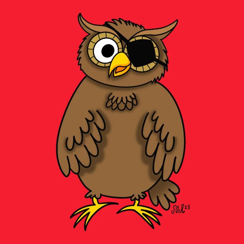 Pirate owl (owl with eye patch)