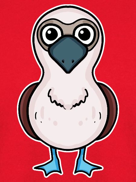 Blaufußtölpel Vogel Meeresvogel