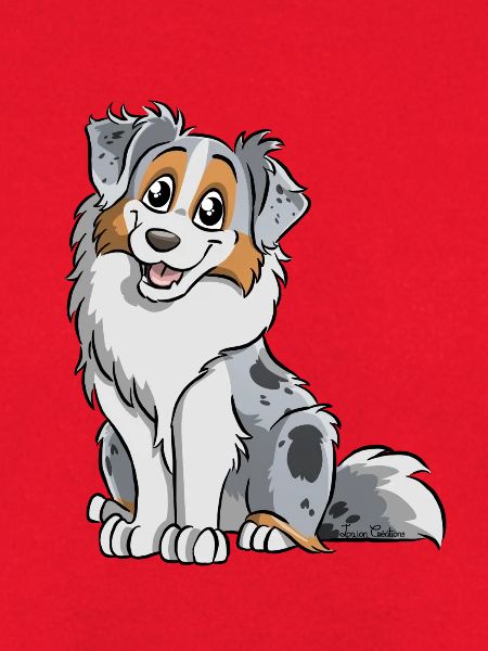 Blue Merle Australian Shepherd