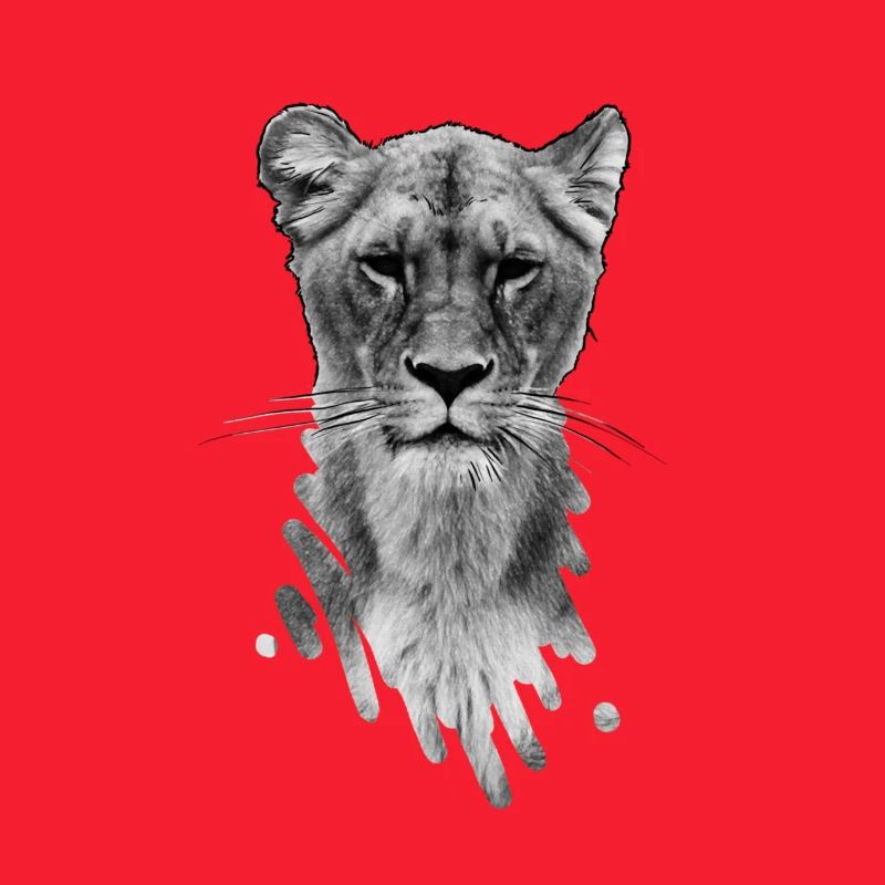 lioness