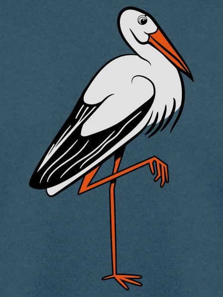 storch