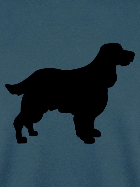 English Springer Spaniel